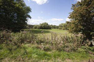 ben bailey redhouse park view from development 1 sm.jpg